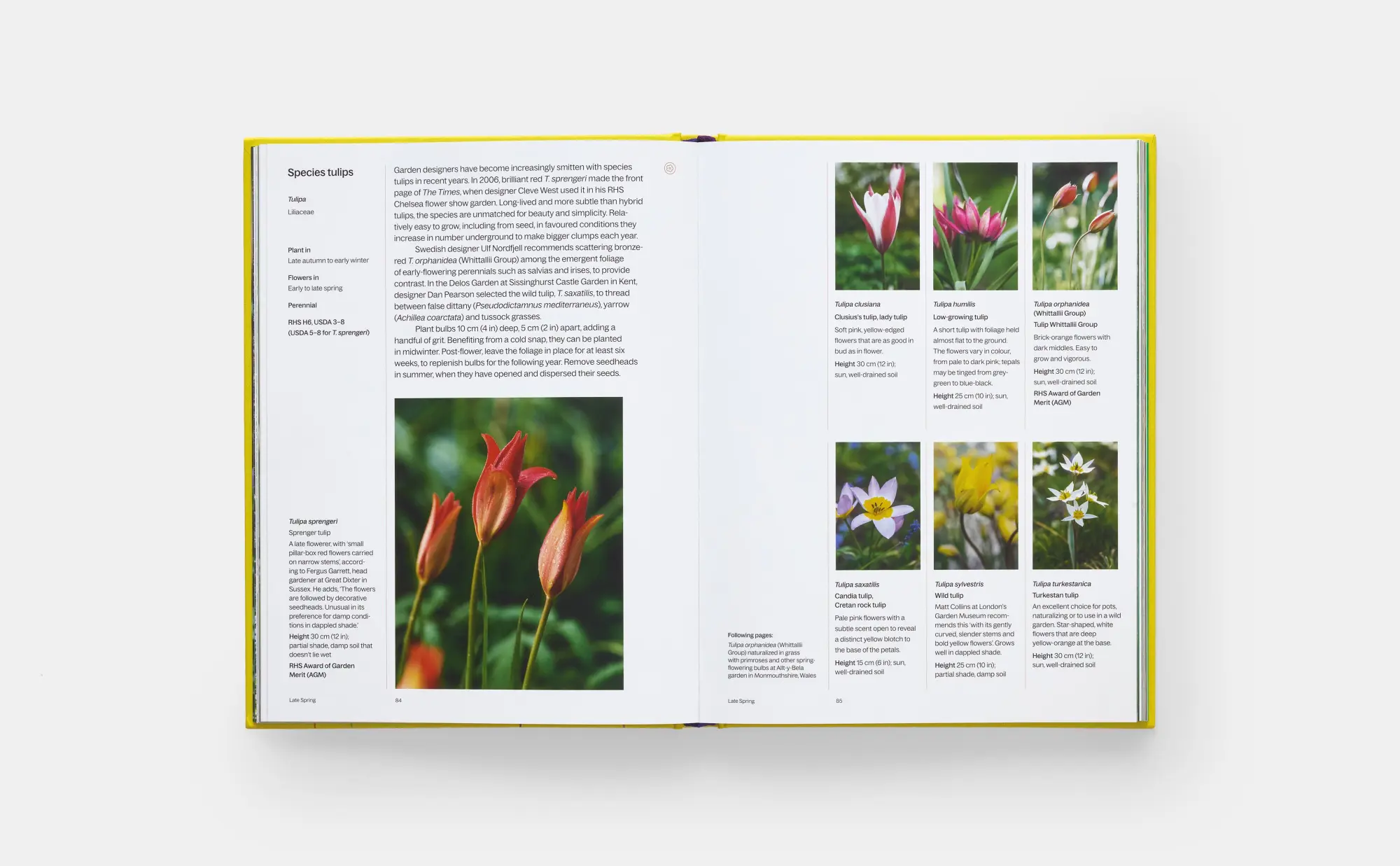 Bild: 9781838668464 | A Year in Bloom | Flowering Bulbs for Every Season | Bellamy (u. a.)