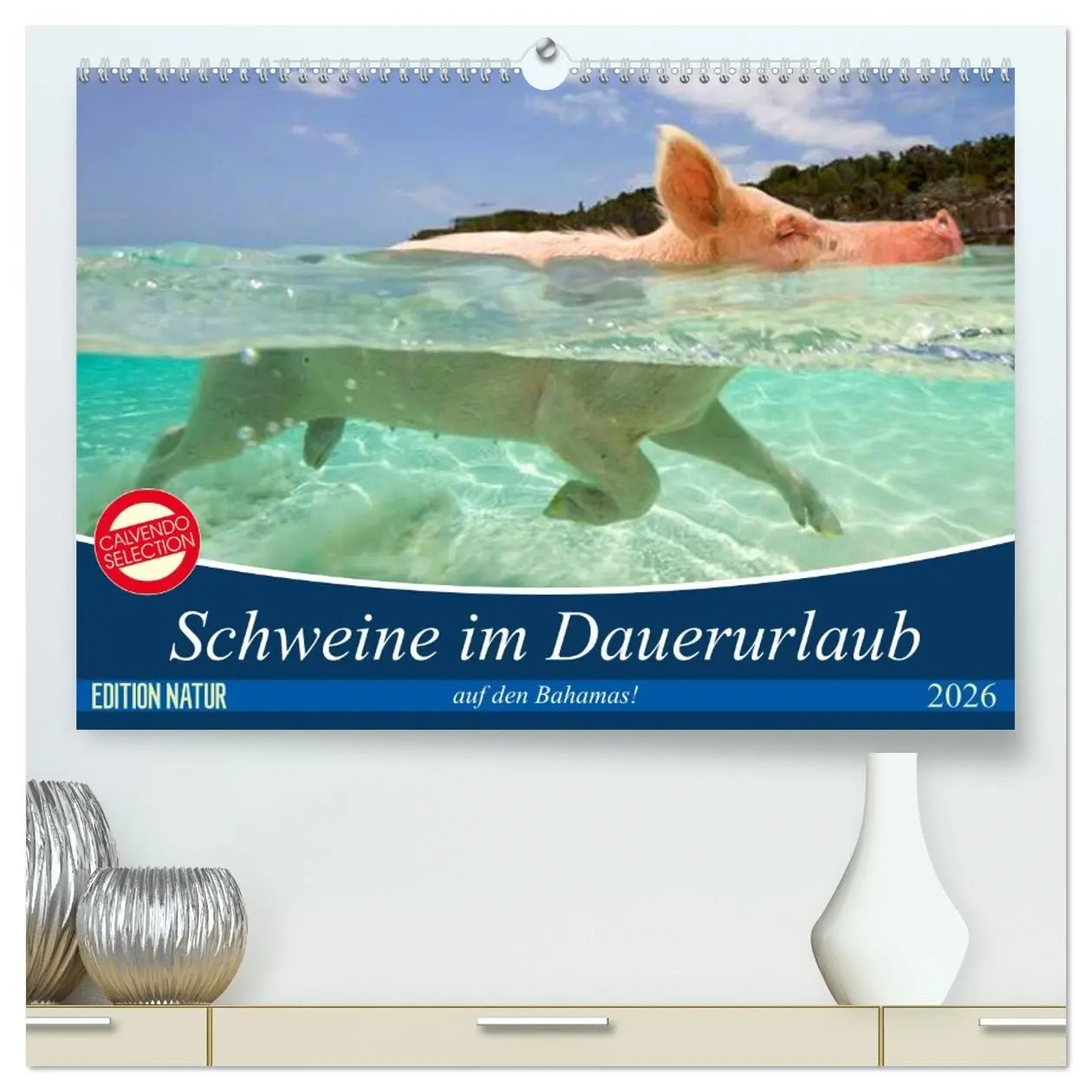 Cover: 9783457758564 | Schweine im Dauerurlaub auf den Bahamas! (hochwertiger Premium...