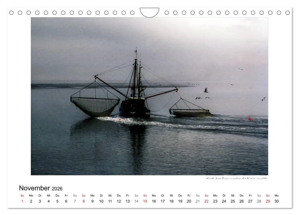 Bild: 9783516228564 | Krabbenkutter in Ostfriesland (Wandkalender 2026 DIN A4 quer),...