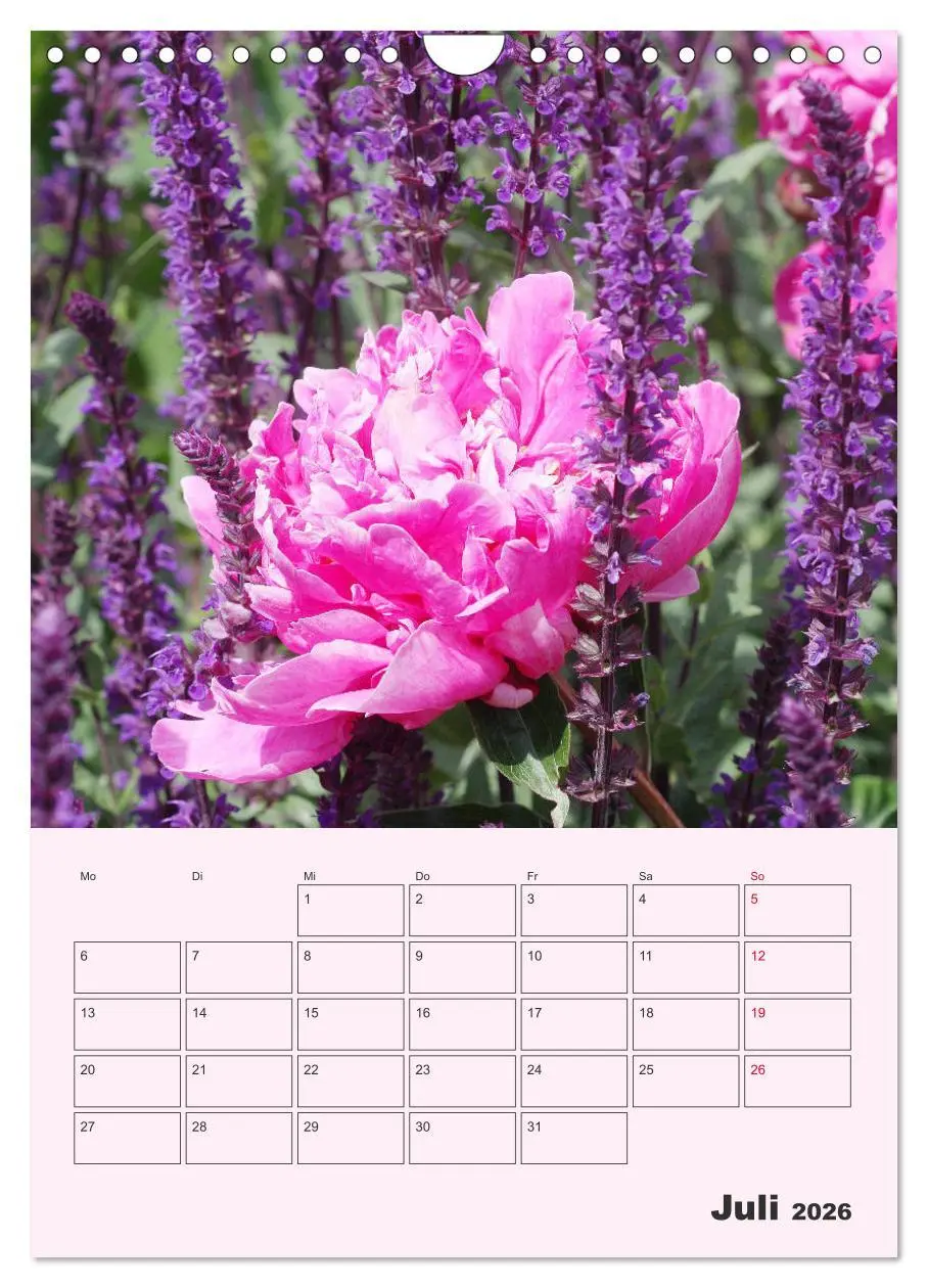 Bild: 9783516398564 | Pfingstrosen Rosen ohne Dornen (Wandkalender 2026 DIN A4 hoch),...