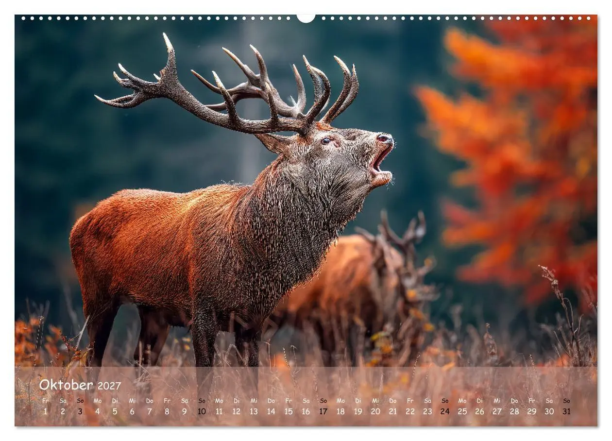Bild: 9783516848564 | Jagd und Natur - Kalender für Jäger mit Wildtieren Deutschlands im...