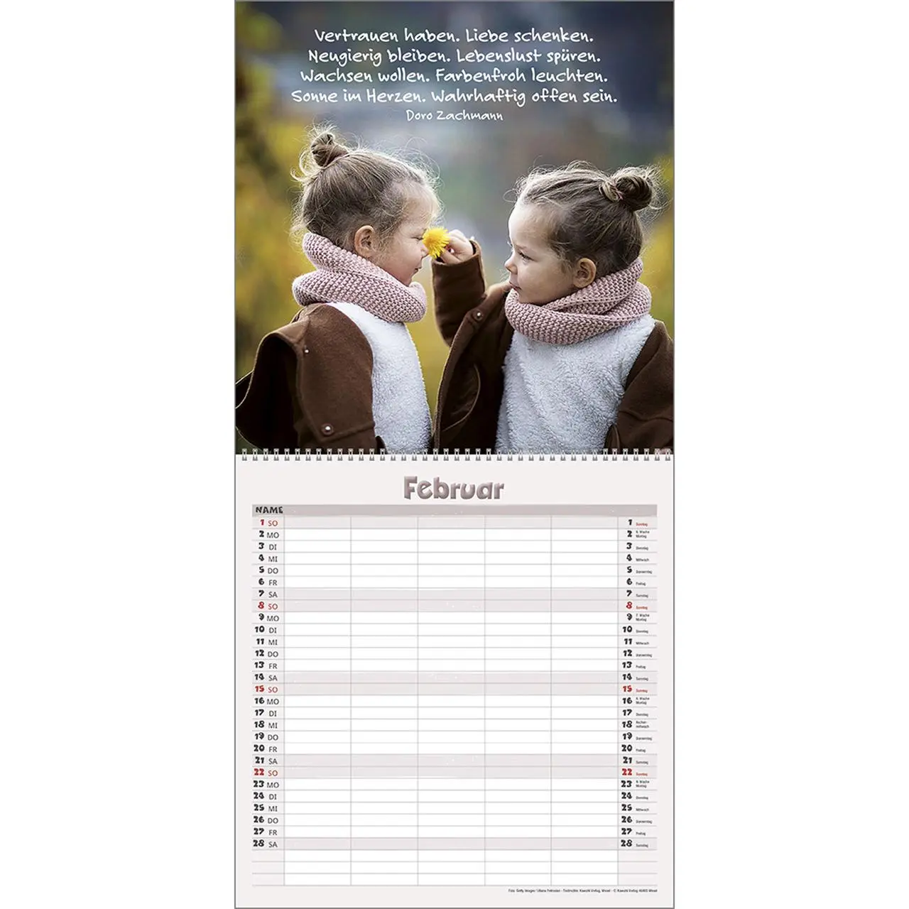 Bild: 9783754828564 | Bei uns ist immer etwas los 2026 | Familien-Timer | Kalender | 14 S.