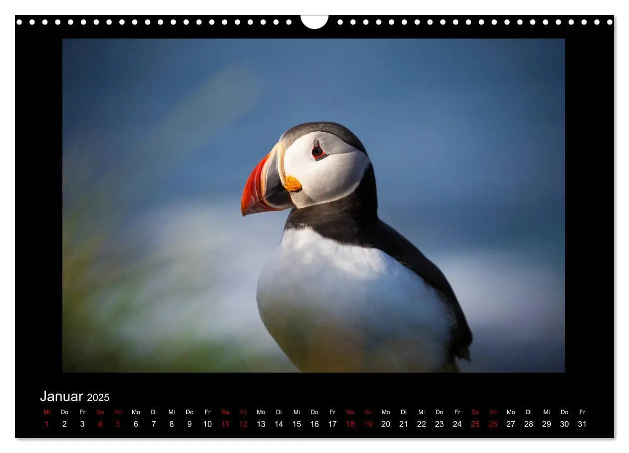 Bild: 9783435418664 | Island - Eine Reise in Bildern (Wandkalender 2025 DIN A3 quer),...