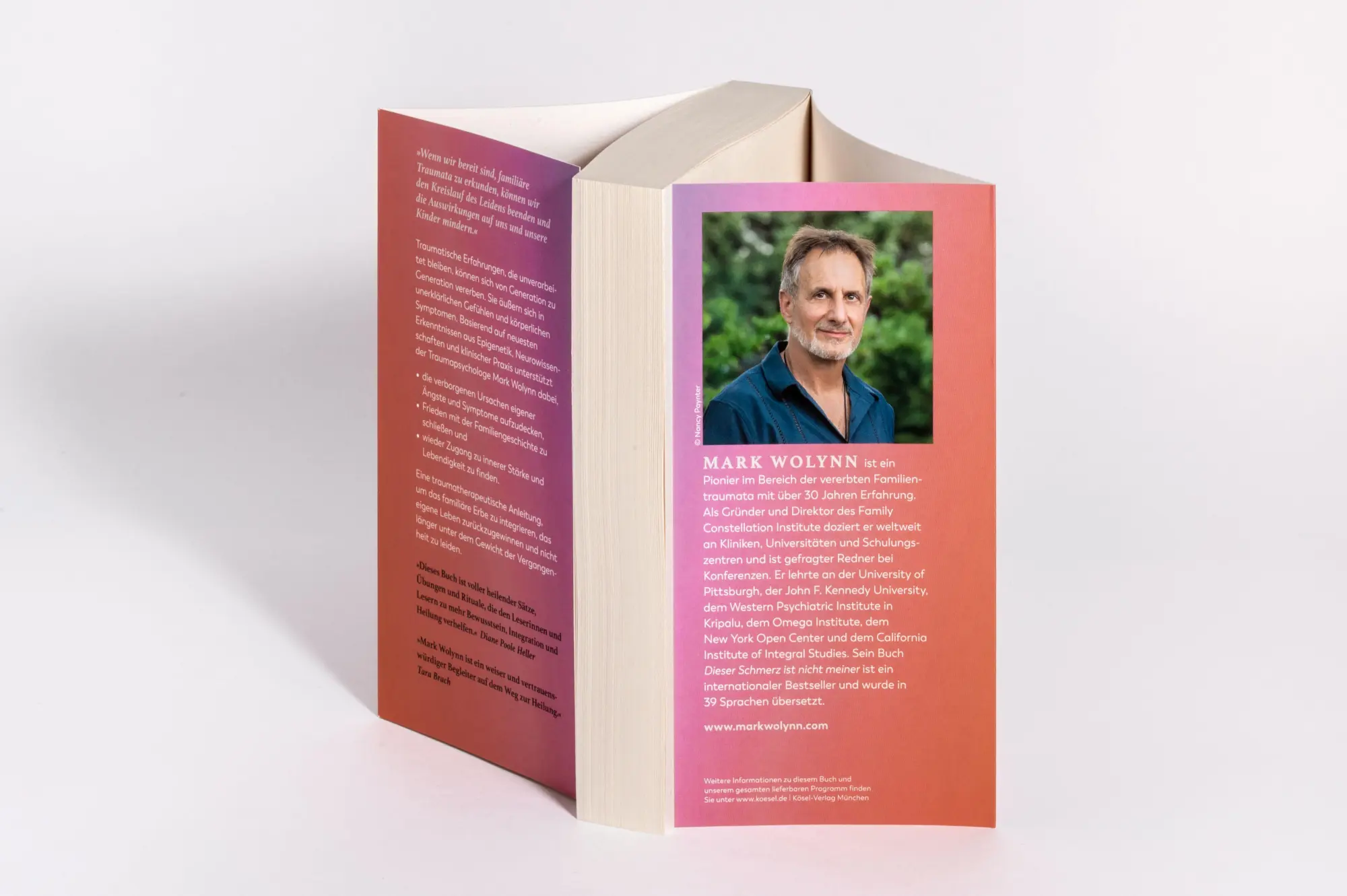 Bild: 9783466348664 | Dieser Schmerz ist nicht meiner | Mark Wolynn | Taschenbuch | 384 S.