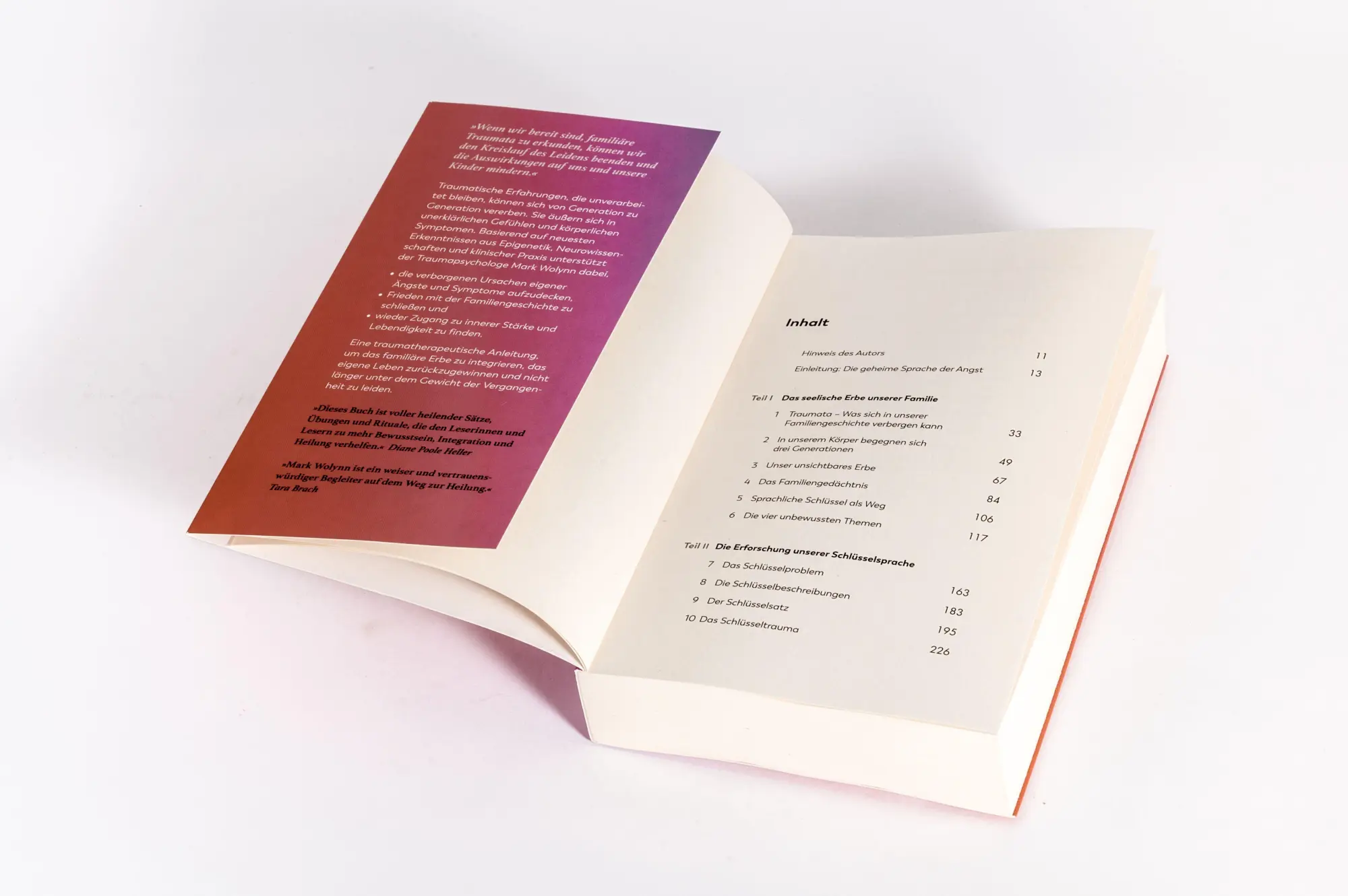 Bild: 9783466348664 | Dieser Schmerz ist nicht meiner | Mark Wolynn | Taschenbuch | 384 S.