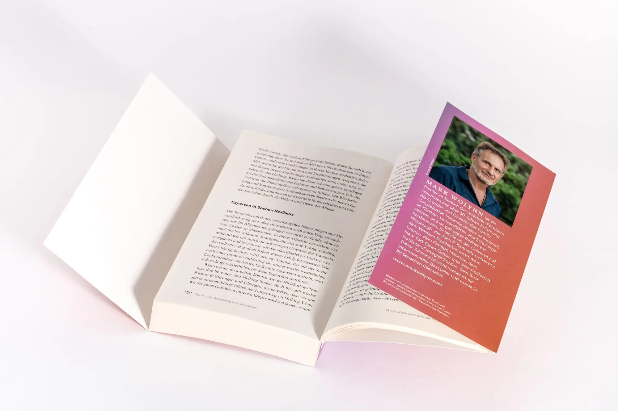 Bild: 9783466348664 | Dieser Schmerz ist nicht meiner | Mark Wolynn | Taschenbuch | 384 S.