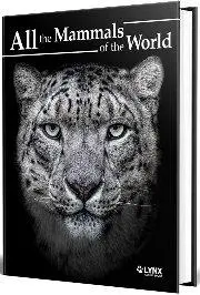 Cover: 9788416728664 | All the Mammals of the World | Buch | Englisch | 2023