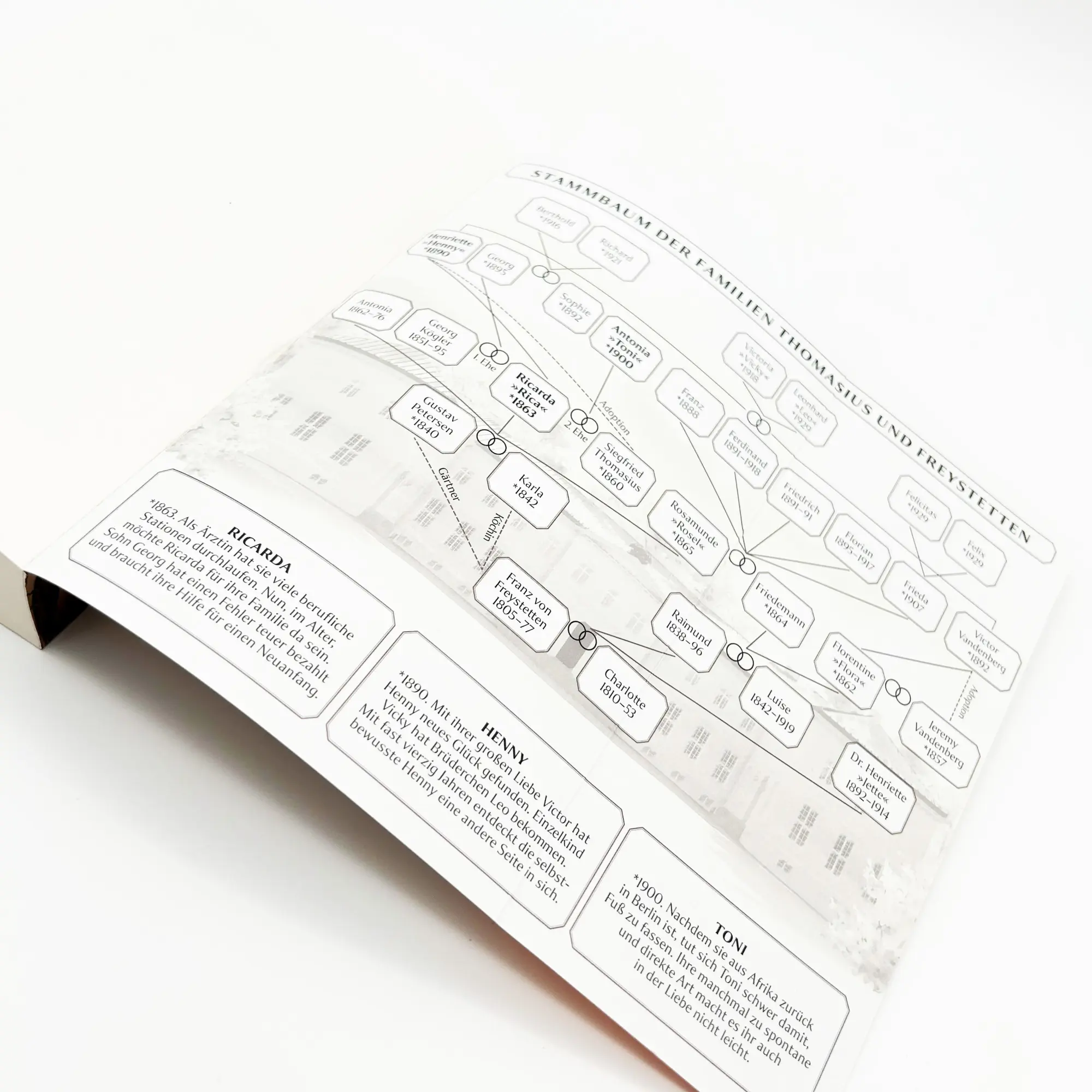 Bild: 9783423218764 | Die Töchter der Ärztin | Helene Sommerfeld | Taschenbuch | 496 S.