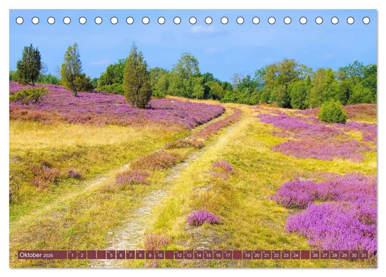 Bild: 9783457728864 | Lüneburger Heide - Wanderung rund um Wilsede und Totengrund...