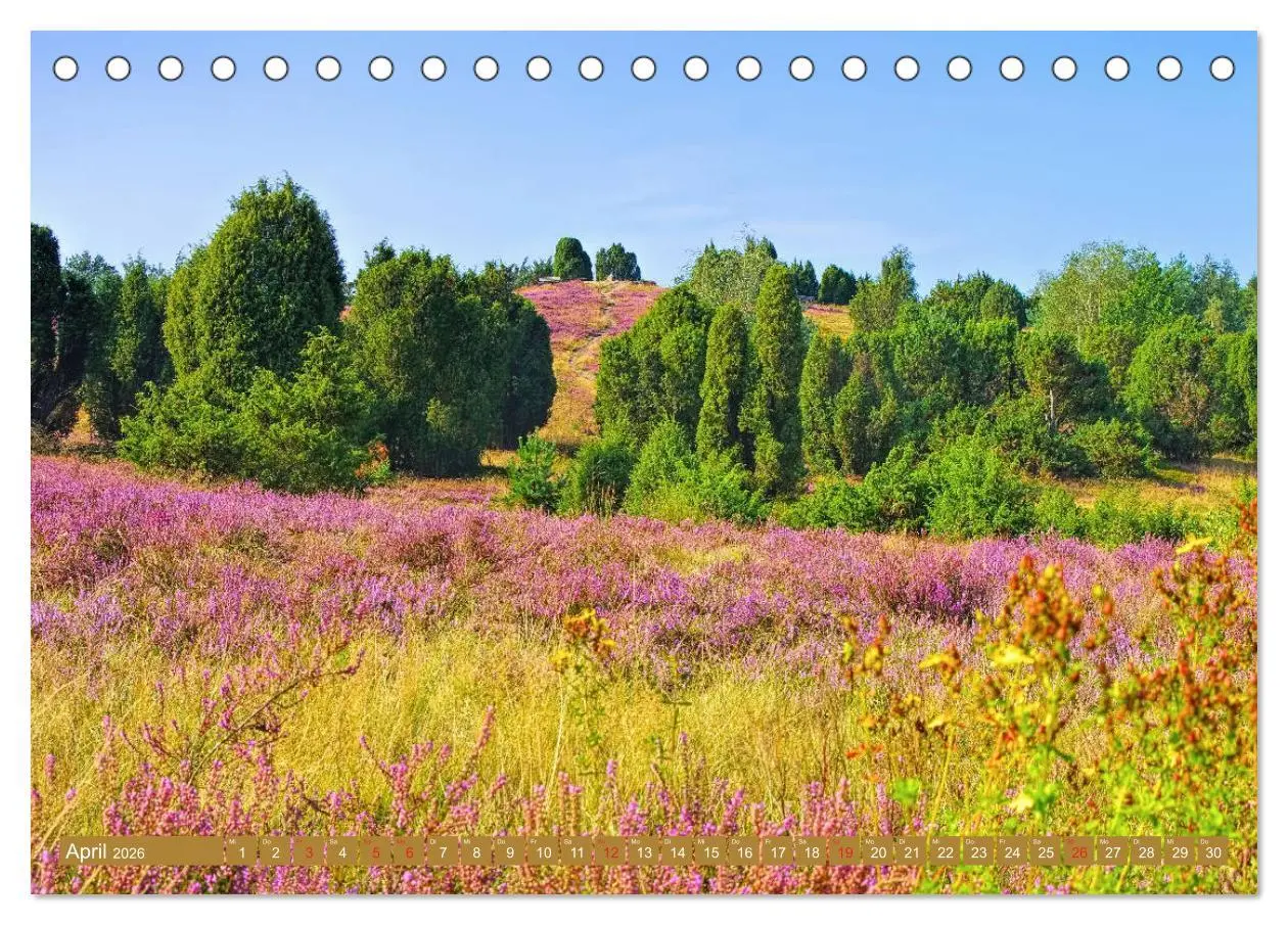 Bild: 9783457728864 | Lüneburger Heide - Wanderung rund um Wilsede und Totengrund...