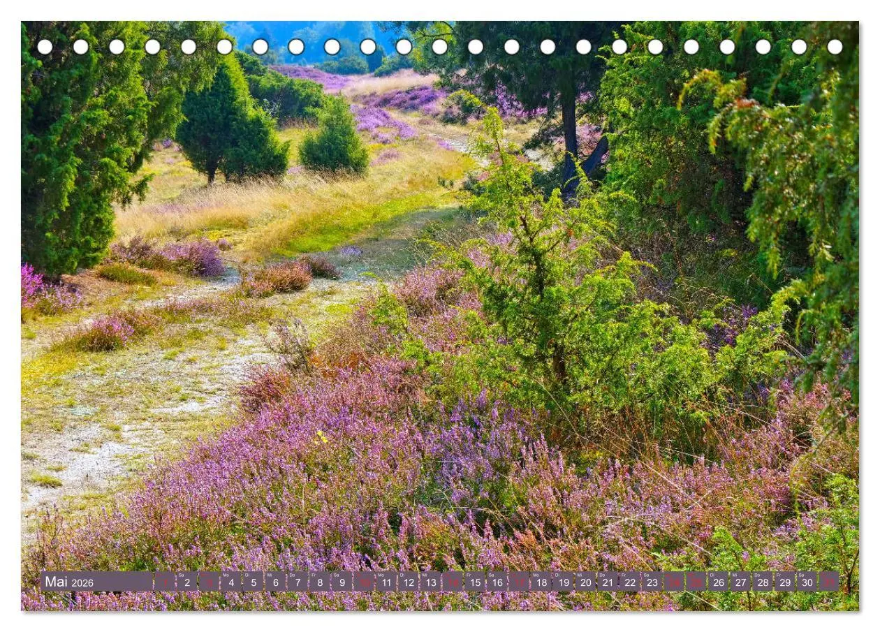 Bild: 9783457728864 | Lüneburger Heide - Wanderung rund um Wilsede und Totengrund...