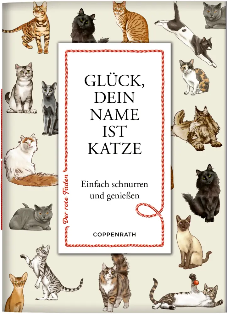 Cover: 9783649648864 | Glück, dein Name ist Katze | Julia Gerigk | Taschenbuch | Deutsch