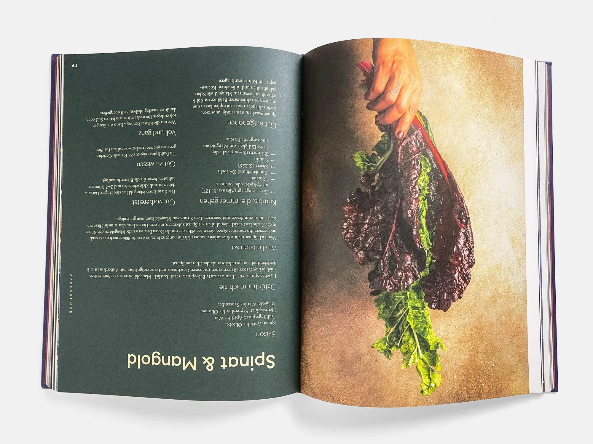 Bild: 9783710608964 | Ein Fest für Gemüse | Orientalisch vegetarisch | Parvin Razavi | Buch