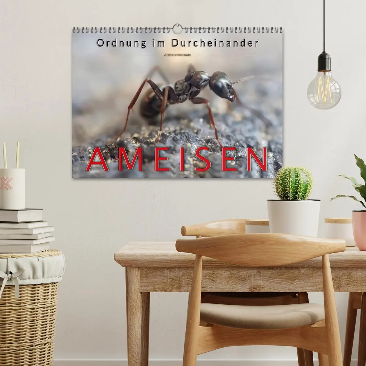 Bild: 9783457849064 | Ameisen - Ordnung im Durcheinander (Wandkalender 2026 DIN A3 quer),...