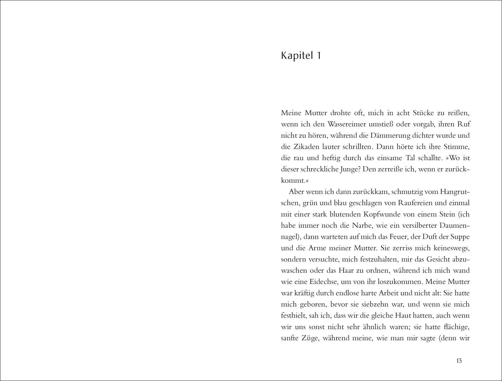 Bild: 9783733509064 | Der Clan der Otori. Das Schwert in der Stille | Lian Hearn | Buch