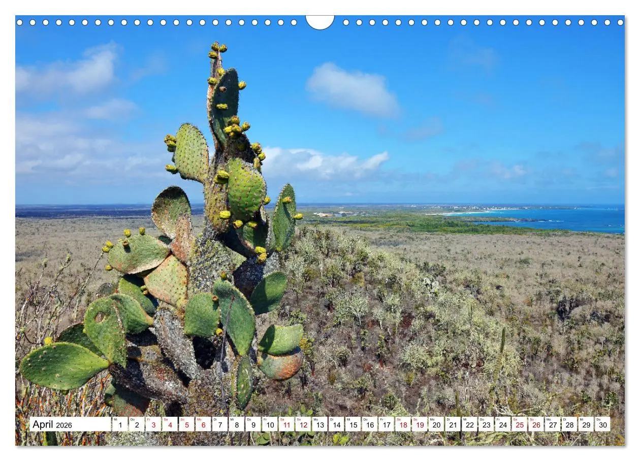 Bild: 9783457529164 | Galápagos - Die verwunschenen Inseln (Wandkalender 2026 DIN A3...