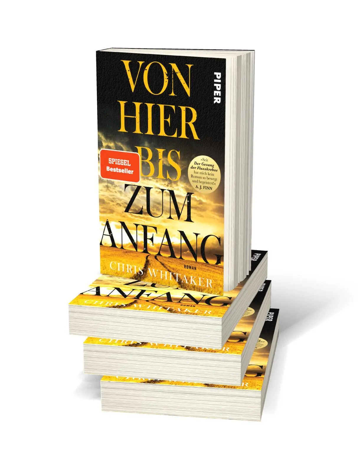 Bild: 9783492319164 | Von hier bis zum Anfang | Chris Whitaker | Taschenbuch | 448 S. | 2023