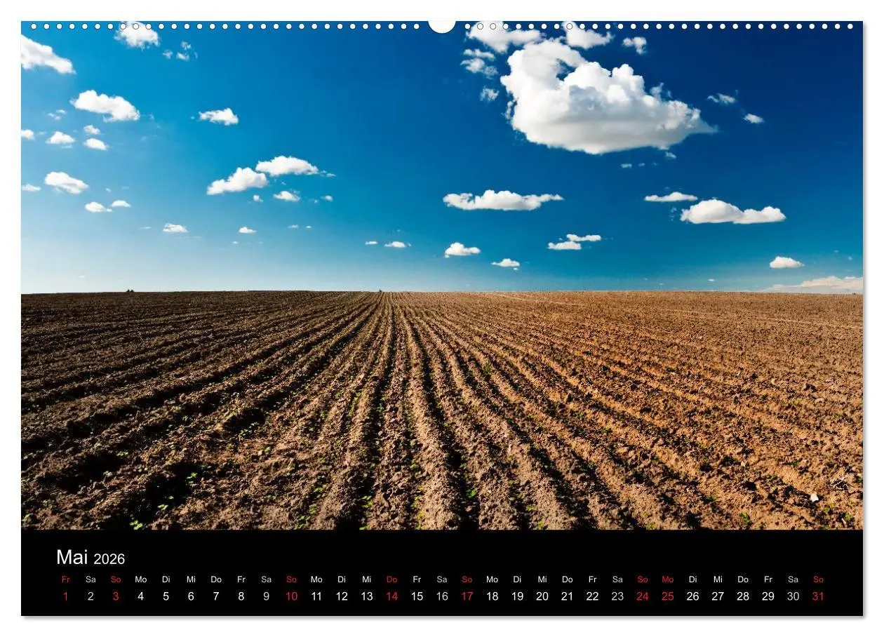 Bild: 9783516099164 | Mecklenburg - Vorpommern (Wandkalender 2026 DIN A2 quer), CALVENDO...