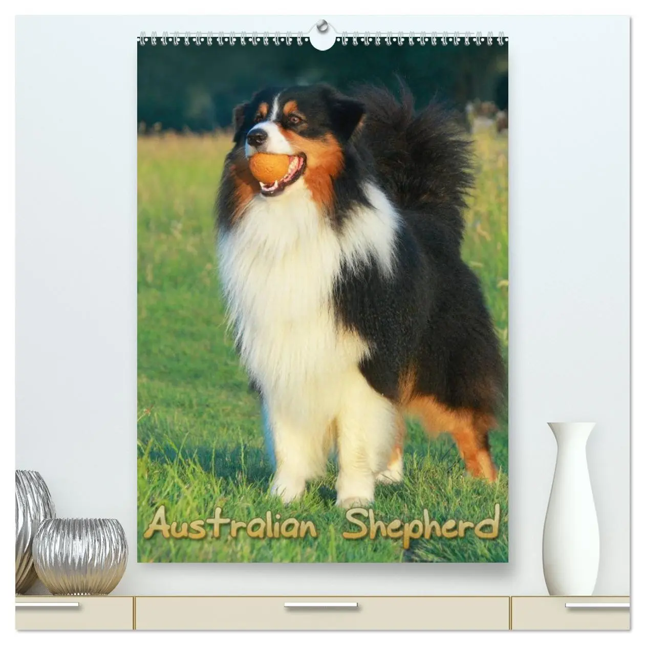 Cover: 9783516479164 | Australian Shepherd (hochwertiger Premium Wandkalender 2026 DIN A2...