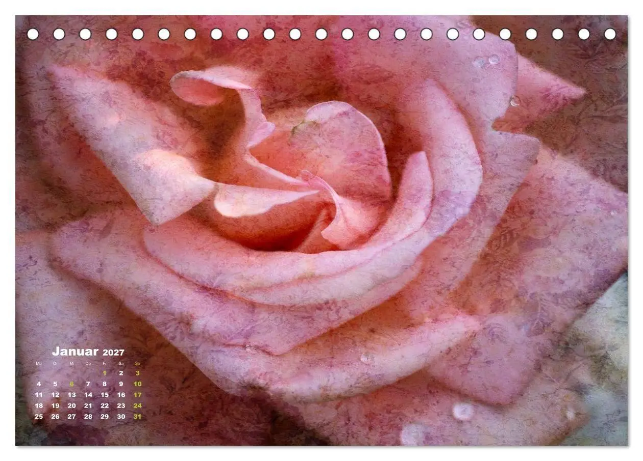 Bild: 9783594079164 | Rosen Romantik (Tischkalender 2027 DIN A5 quer), CALVENDO...