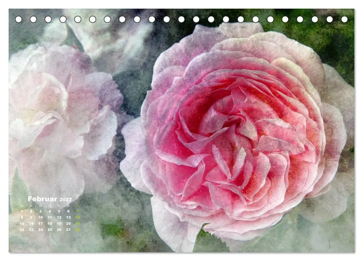 Bild: 9783594079164 | Rosen Romantik (Tischkalender 2027 DIN A5 quer), CALVENDO...