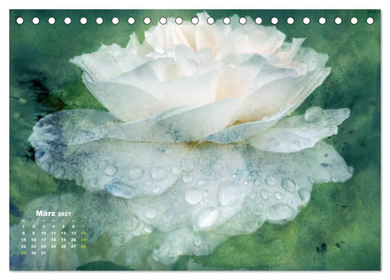 Bild: 9783594079164 | Rosen Romantik (Tischkalender 2027 DIN A5 quer), CALVENDO...