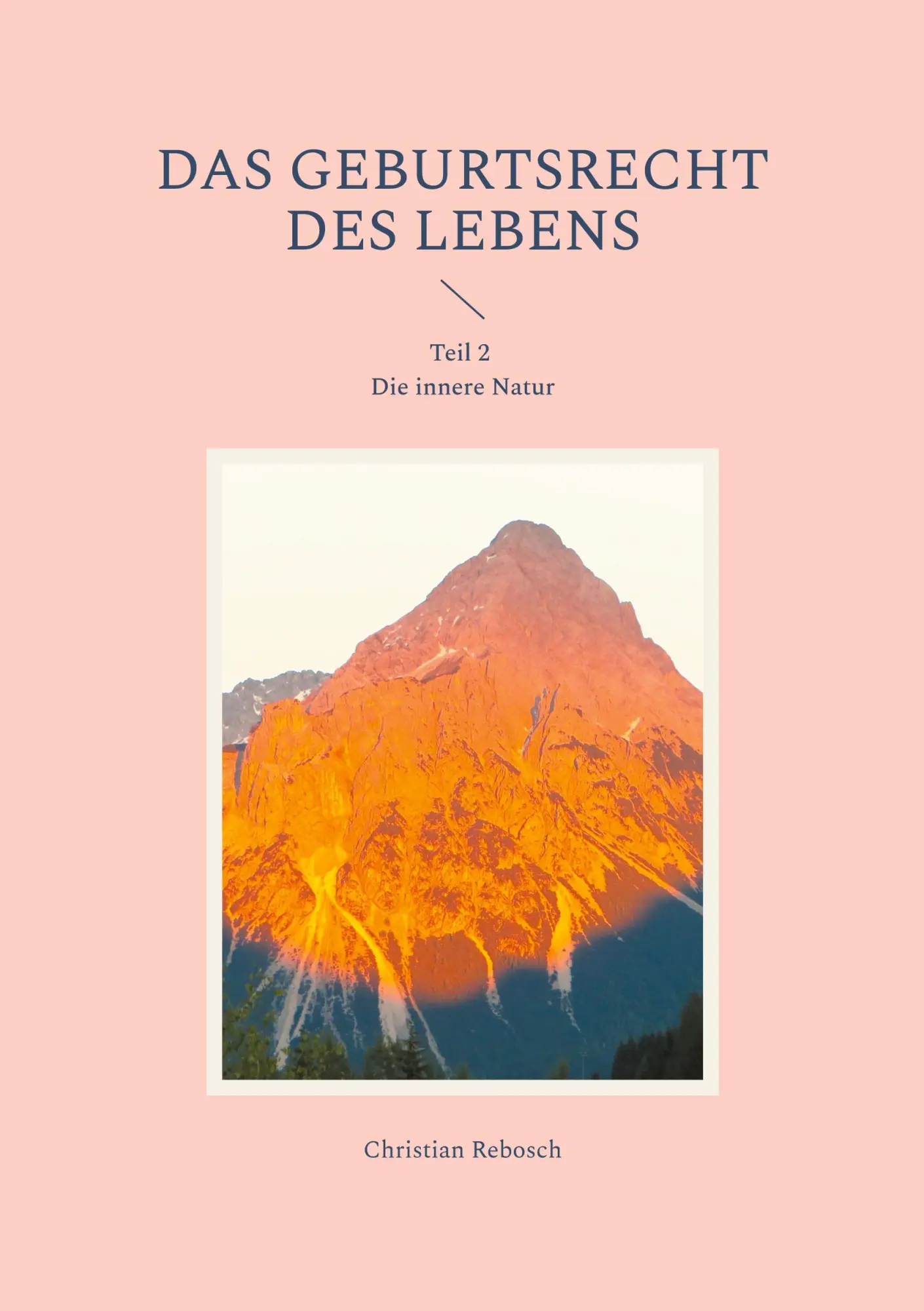 Cover: 9783819279164 | Das Geburtsrecht des Lebens | Teil 2 Die innere Natur | Rebosch | Buch