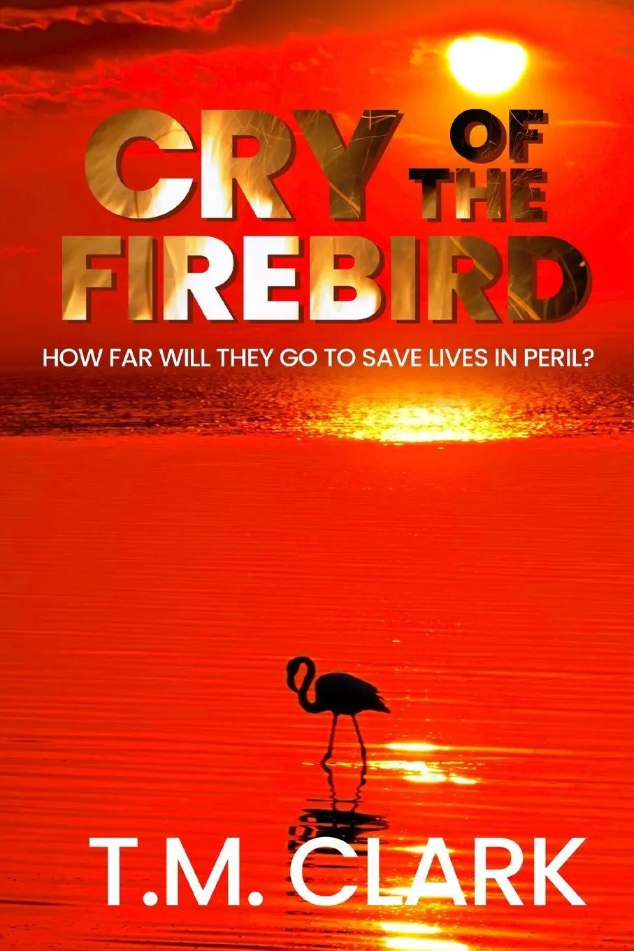 Cover: 9780645919264 | Cry of the Firebird | T. M. Clark | Taschenbuch | Englisch | 2024