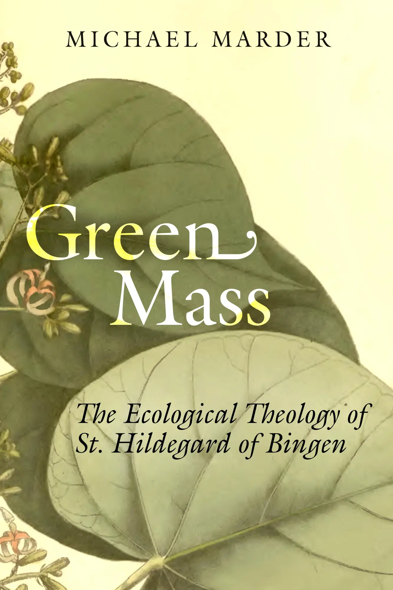 Cover: 9781503629264 | Green Mass | The Ecological Theology of St. Hildegard of Bingen | Buch