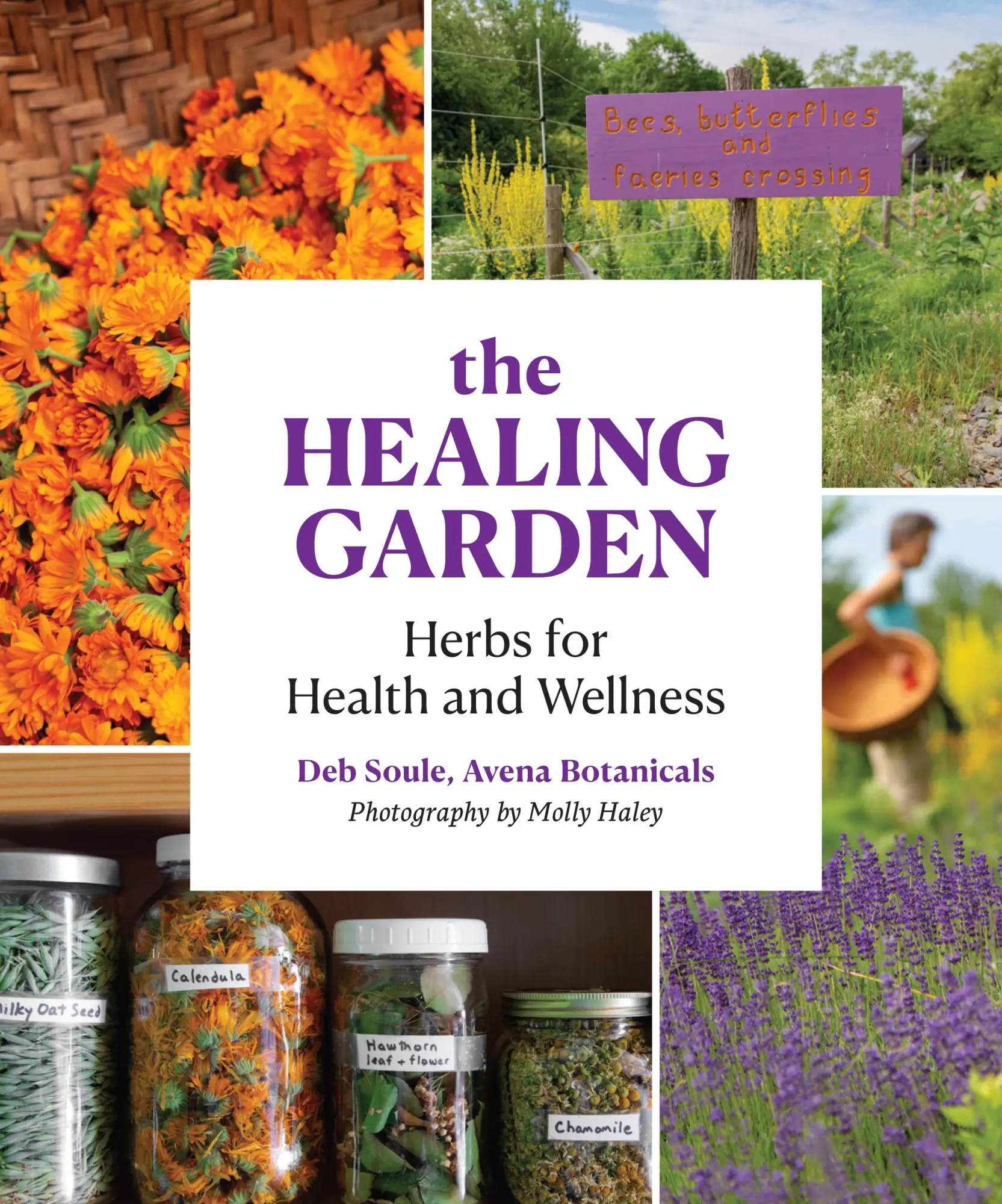 Cover: 9781616899264 | The Healing Garden | Herbal Plants for Health and Wellness | Deb Soule