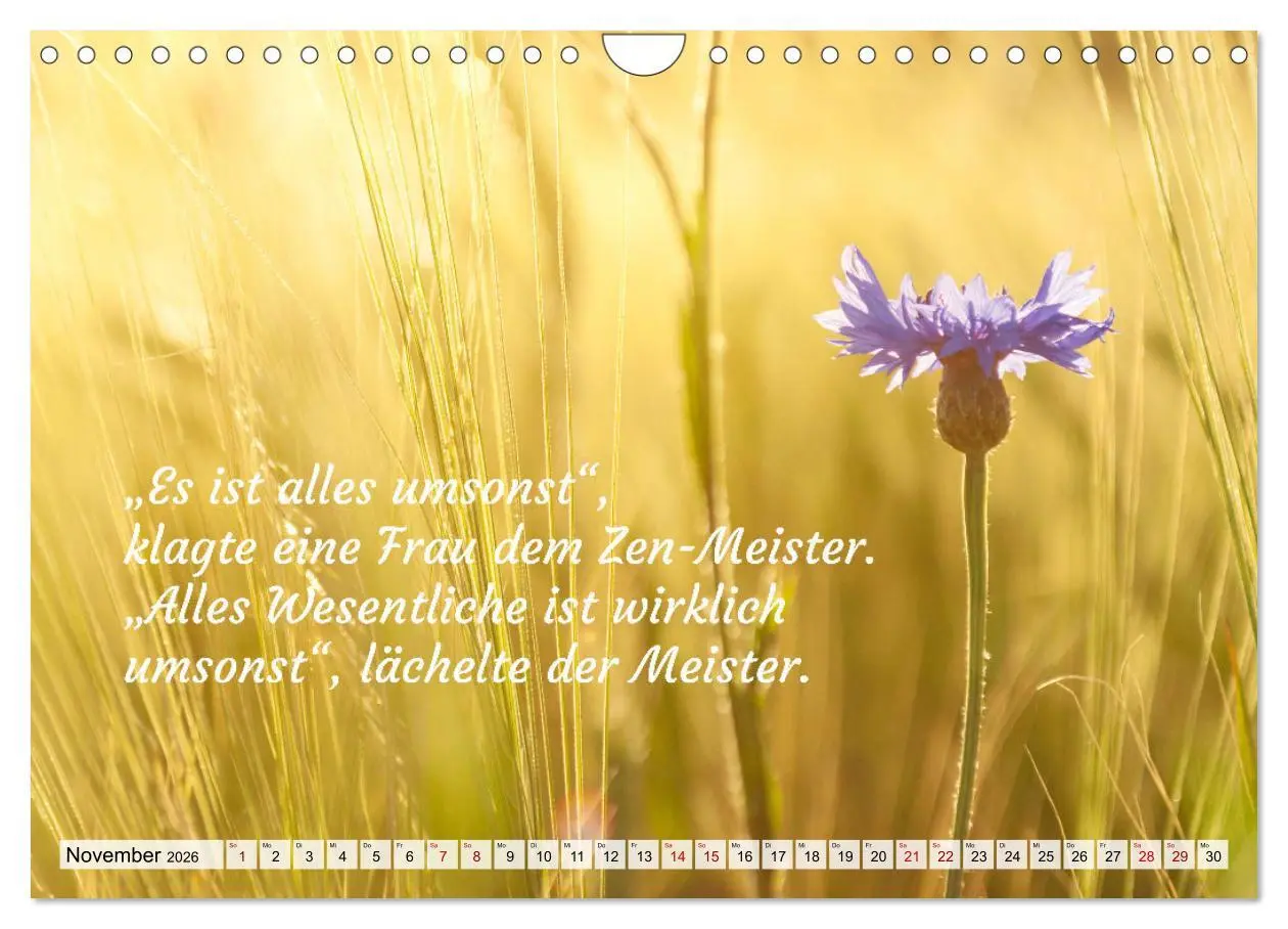 Bild: 9783457379264 | Und der Zen-Meister sprach (Wandkalender 2026 DIN A4 quer),...