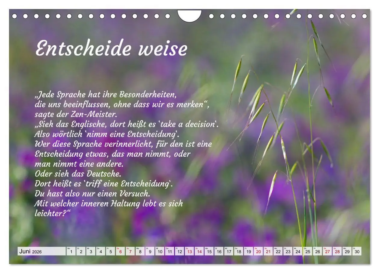 Bild: 9783457379264 | Und der Zen-Meister sprach (Wandkalender 2026 DIN A4 quer),...