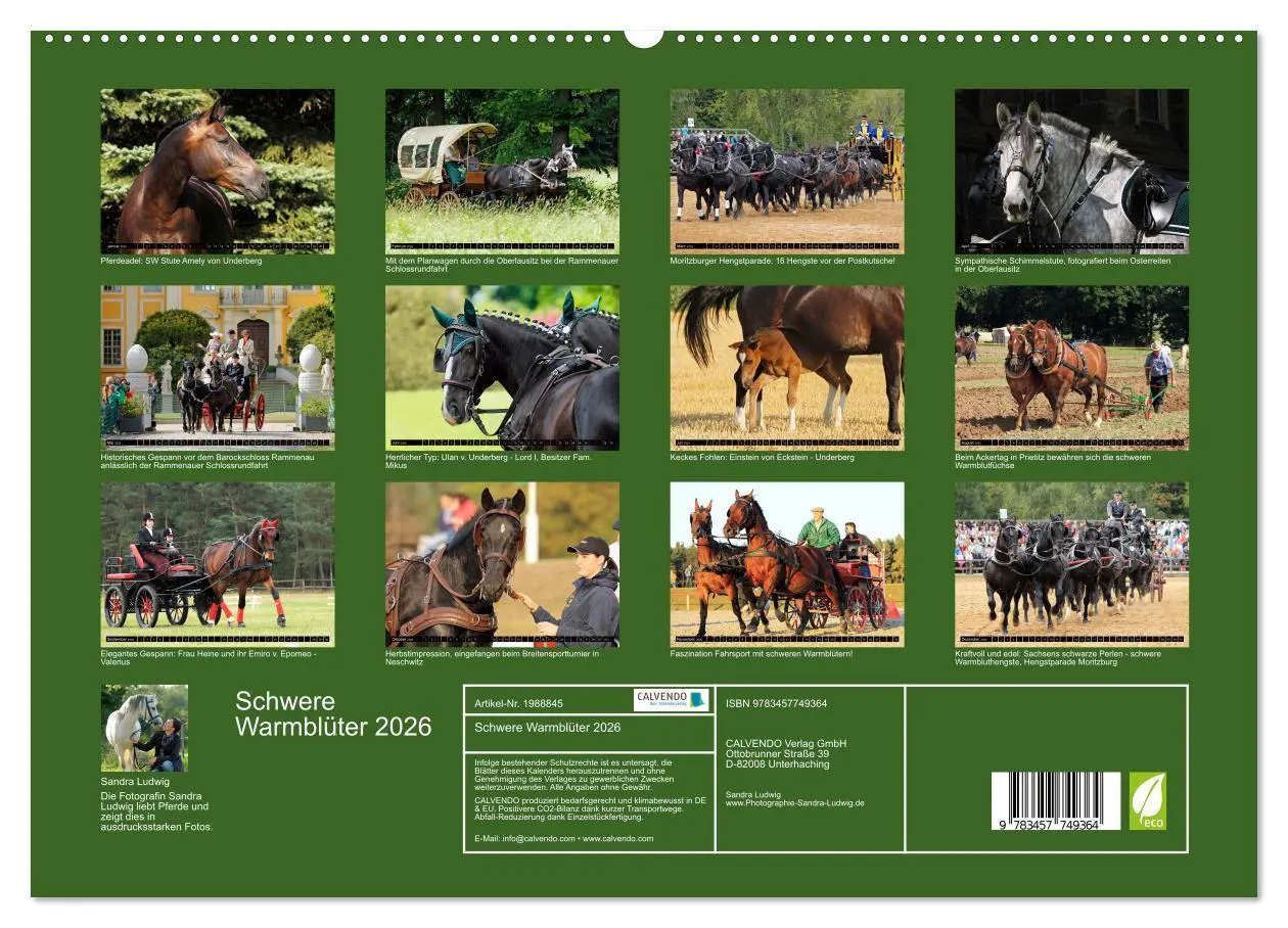 Bild: 9783457749364 | Schwere Warmblüter 2026 (hochwertiger Premium Wandkalender 2026 DIN...