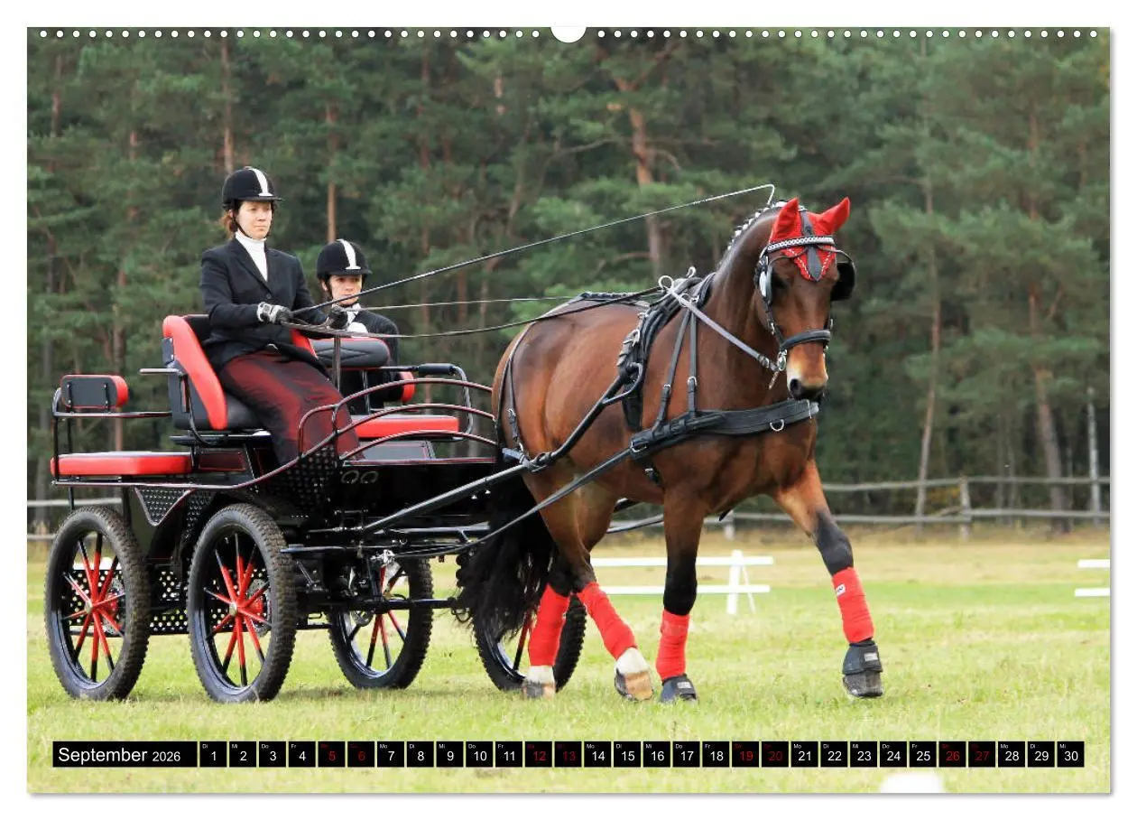 Bild: 9783457749364 | Schwere Warmblüter 2026 (hochwertiger Premium Wandkalender 2026 DIN...