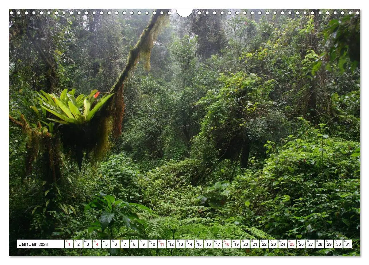 Bild: 9783516149364 | Madagaskar (Wandkalender 2026 DIN A3 quer), CALVENDO Monatskalender