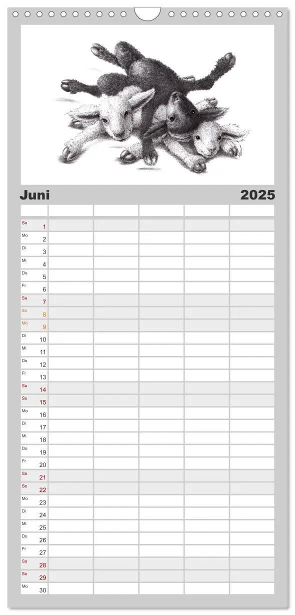 Bild: 9783457119464 | Familienplaner 2025 - TIERONISCH mit 5 Spalten (Wandkalender, 21 x...