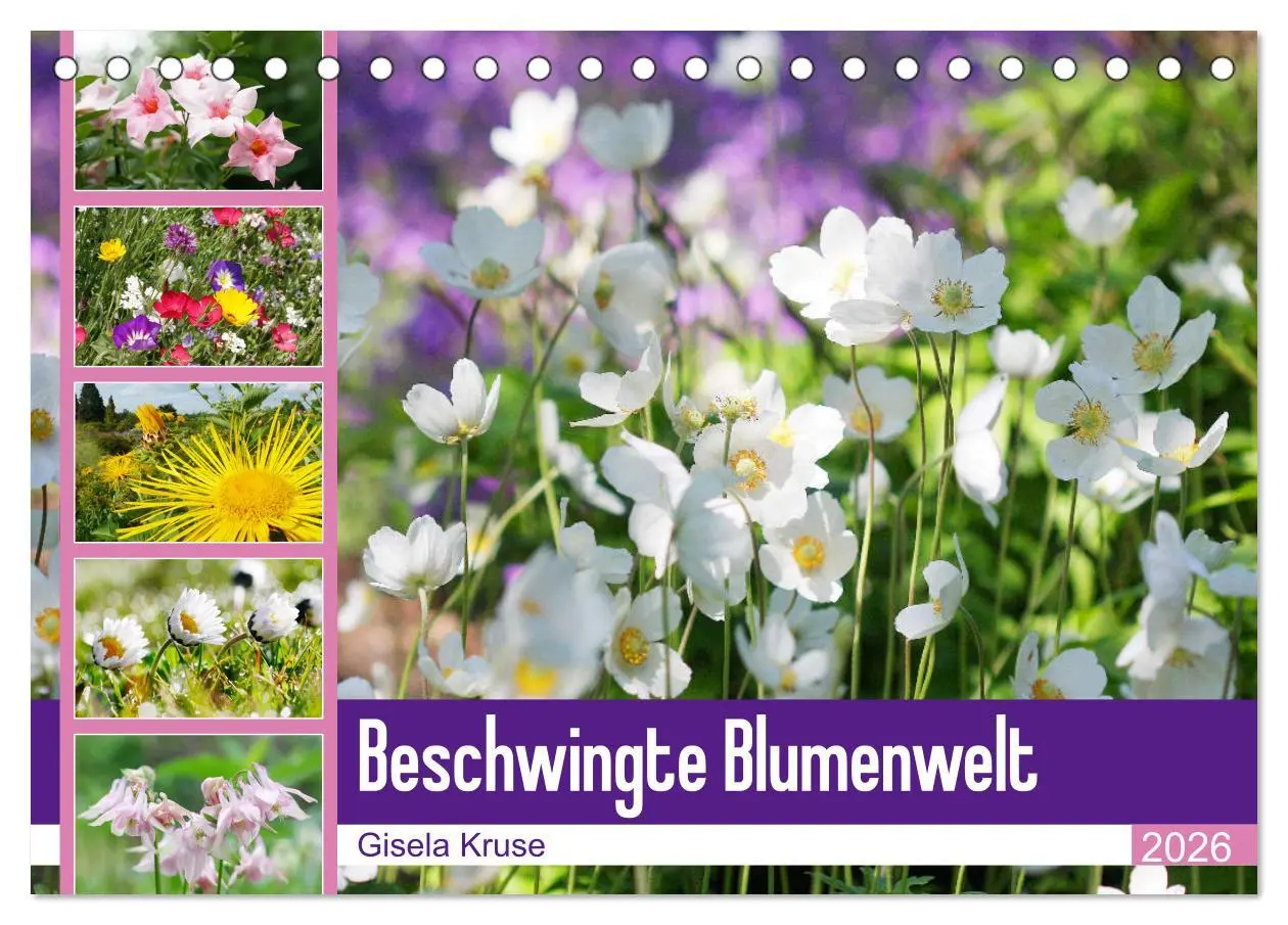 Cover: 9783457739464 | Beschwingte Blumenwelt (Tischkalender 2026 DIN A5 quer), CALVENDO...
