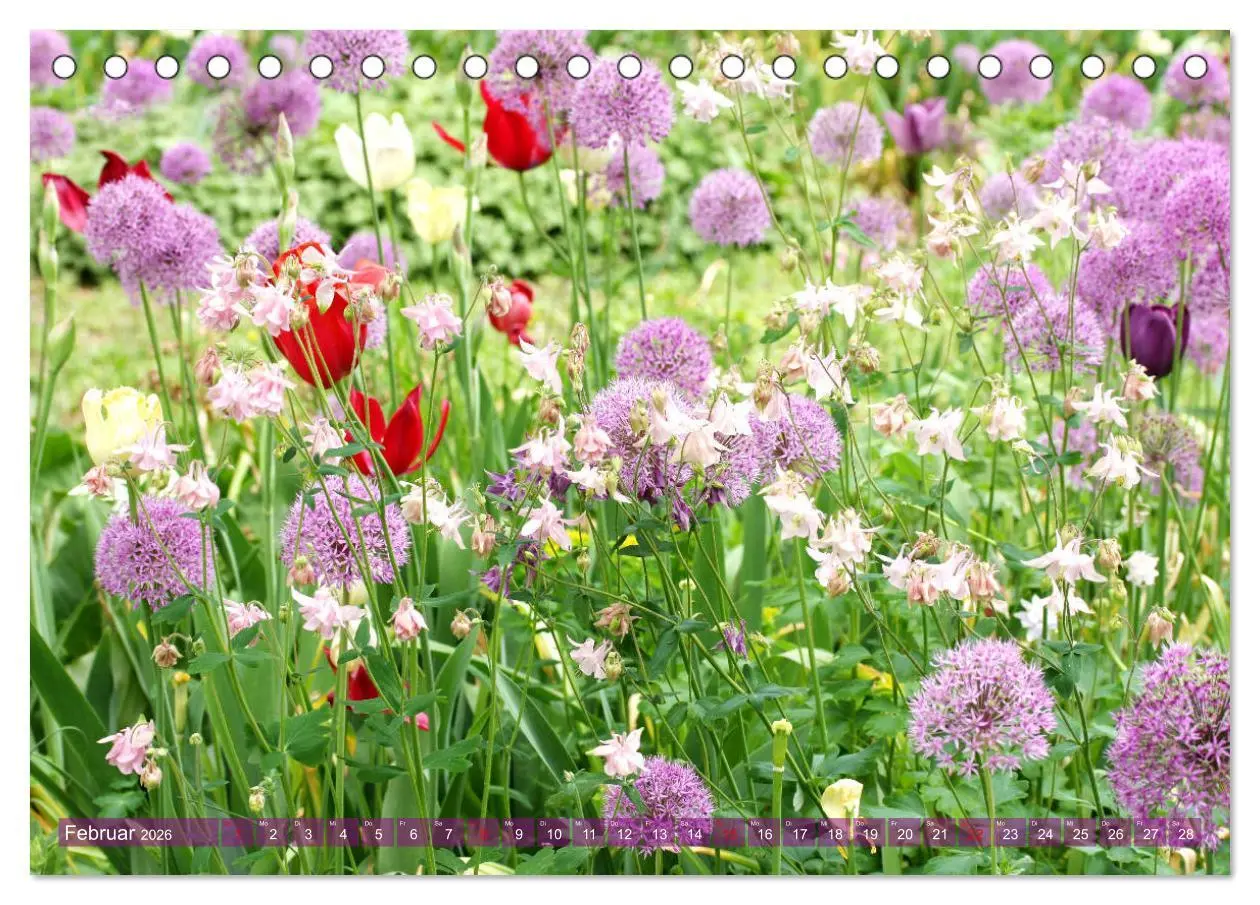 Bild: 9783457739464 | Beschwingte Blumenwelt (Tischkalender 2026 DIN A5 quer), CALVENDO...