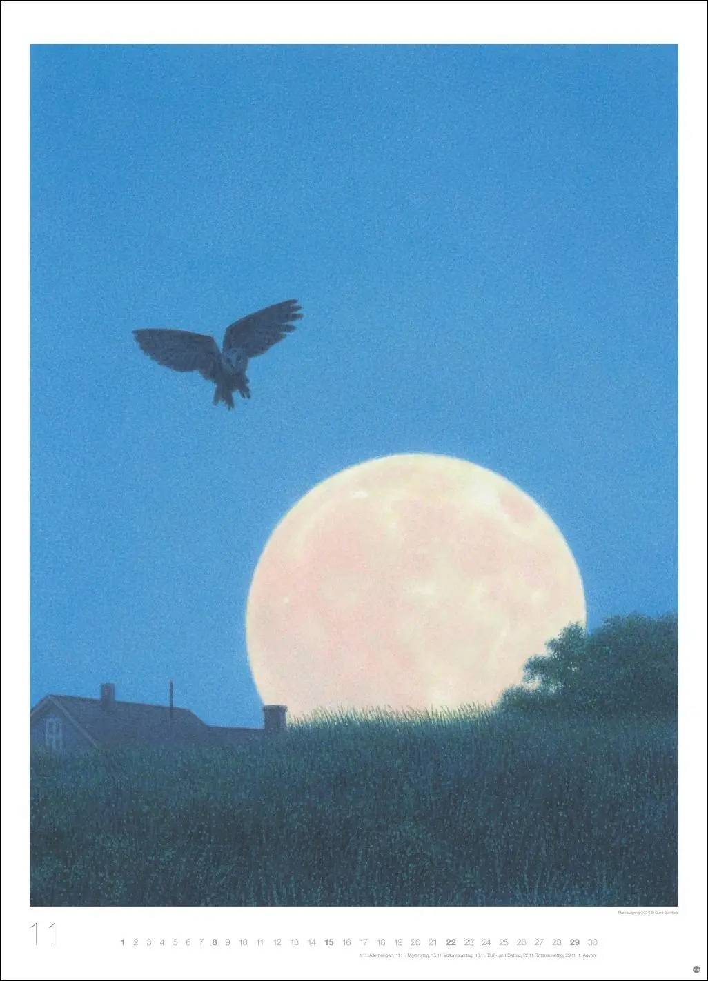 Bild: 9783756409464 | Quint Buchholz: Augenblicke Kalender 2026 | Quint Buchholz | Kalender