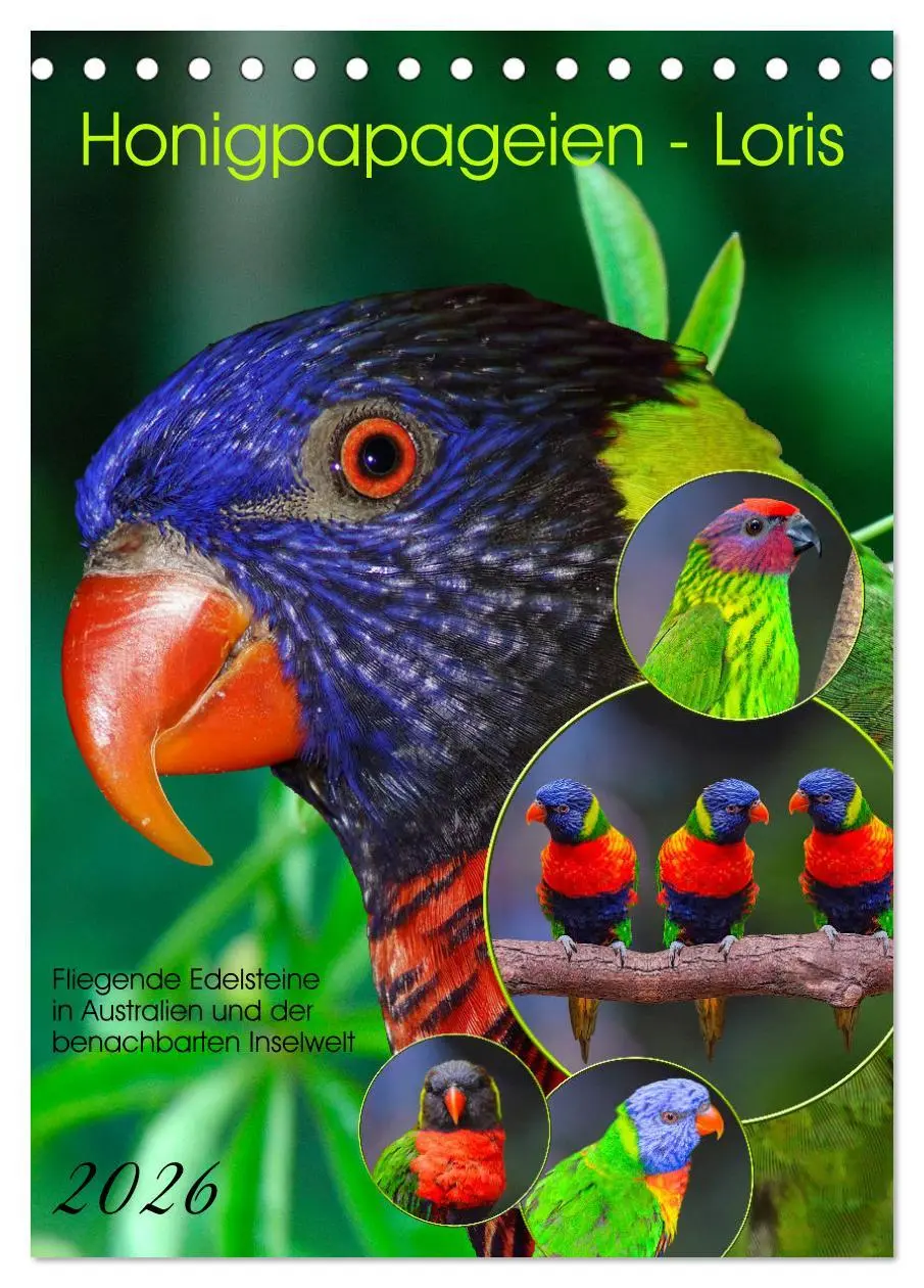 Cover: 9783516299564 | Honigpapageien - Loris (Tischkalender 2026 DIN A5 hoch), CALVENDO...
