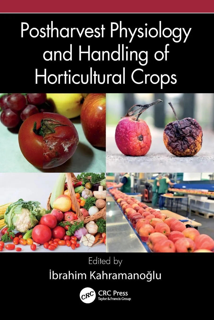 Cover: 9781032589664 | Postharvest Physiology and Handling of Horticultural Crops | Buch