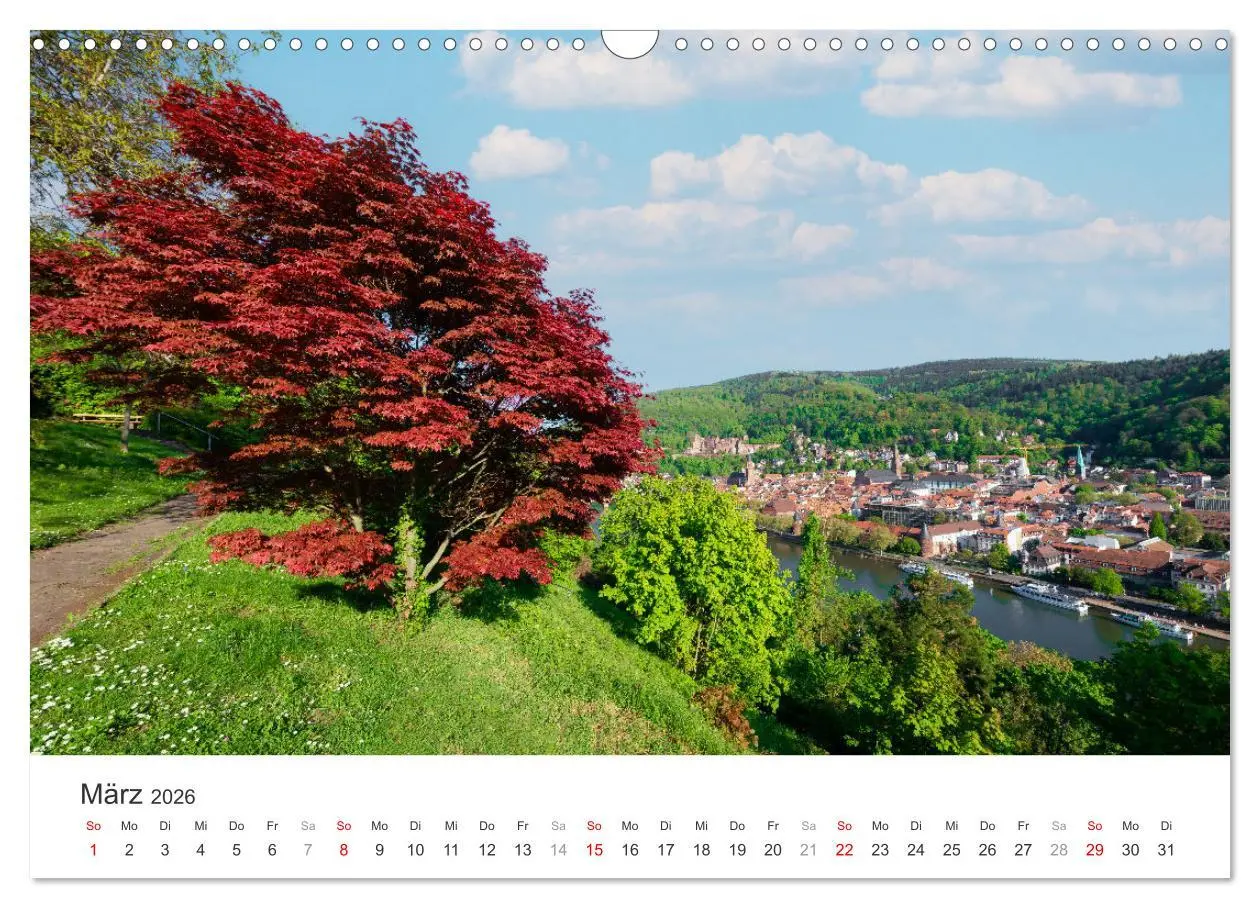 Bild: 9783457269664 | Heidelberg im Fokus (Wandkalender 2026 DIN A3 quer), CALVENDO...