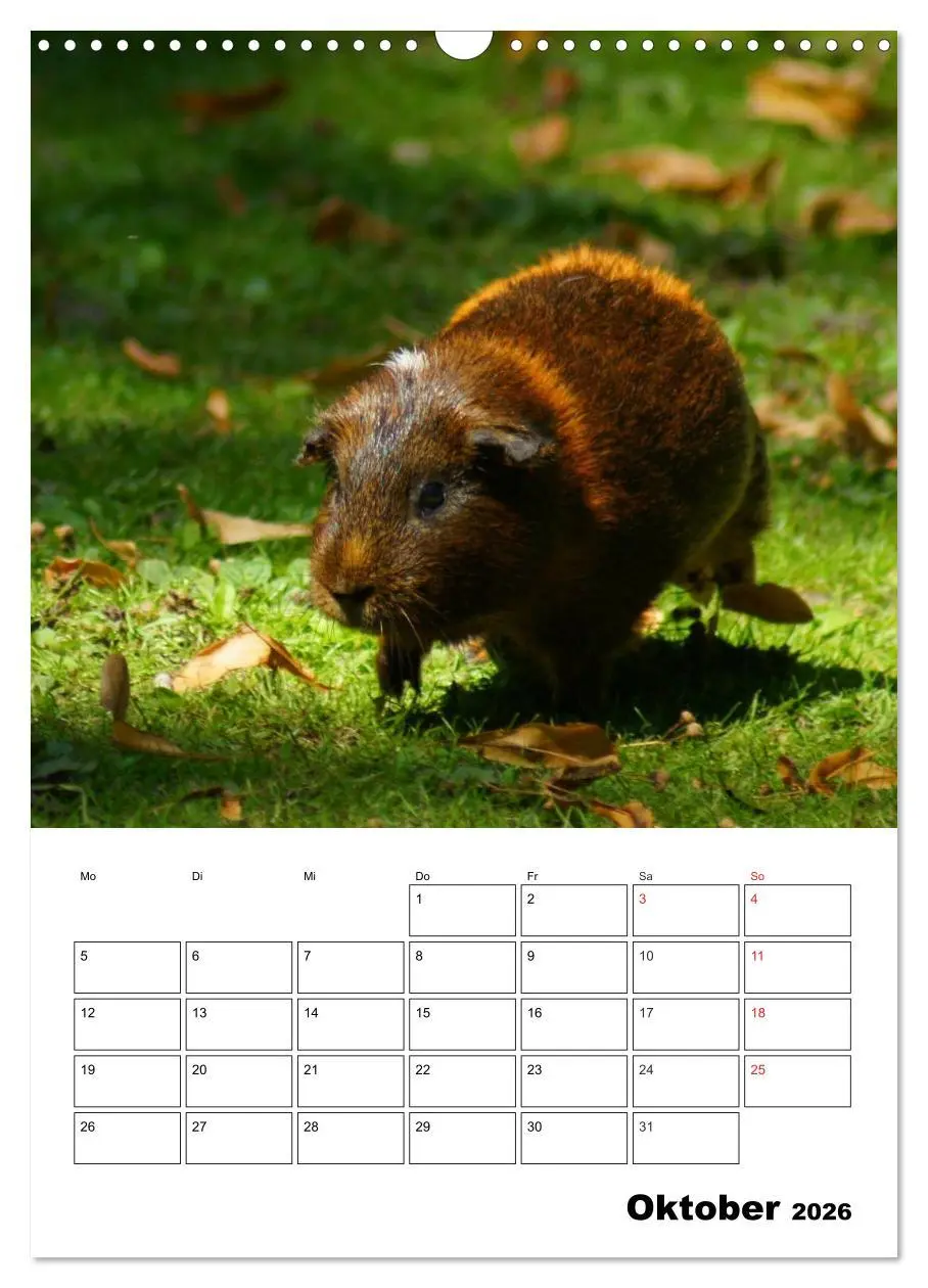 Bild: 9783516429664 | Meerschweinchen Terminplaner (Wandkalender 2026 DIN A3 hoch),...