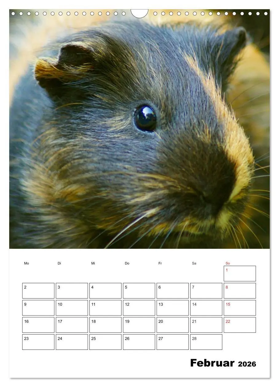 Bild: 9783516429664 | Meerschweinchen Terminplaner (Wandkalender 2026 DIN A3 hoch),...