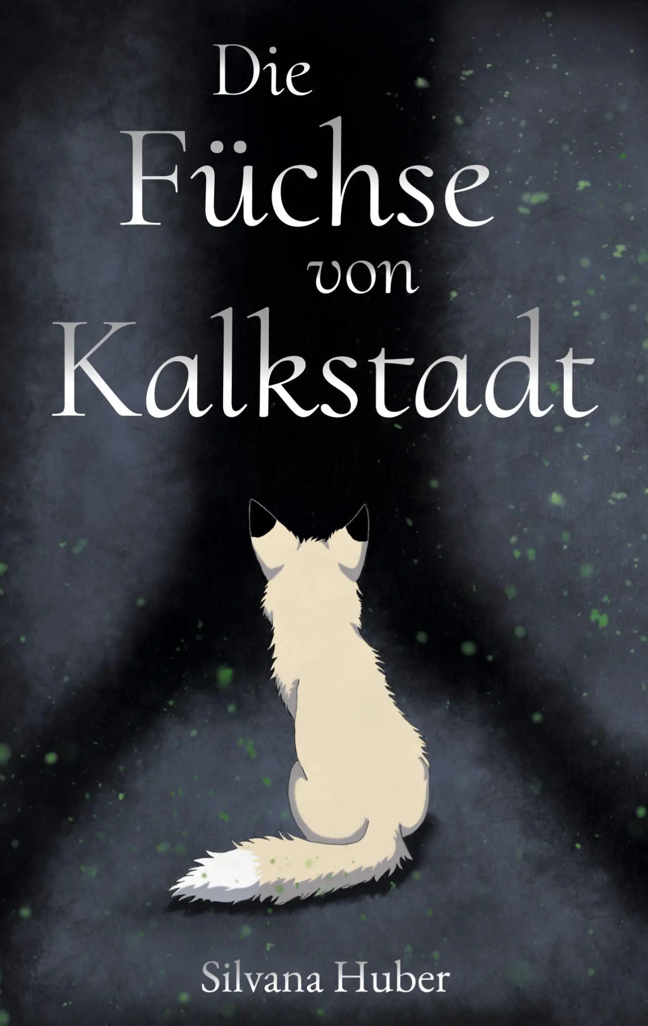 Cover: 9783769349764 | Die Füchse von Kalkstadt | Silvana Huber | Taschenbuch | 348 S. | 2024