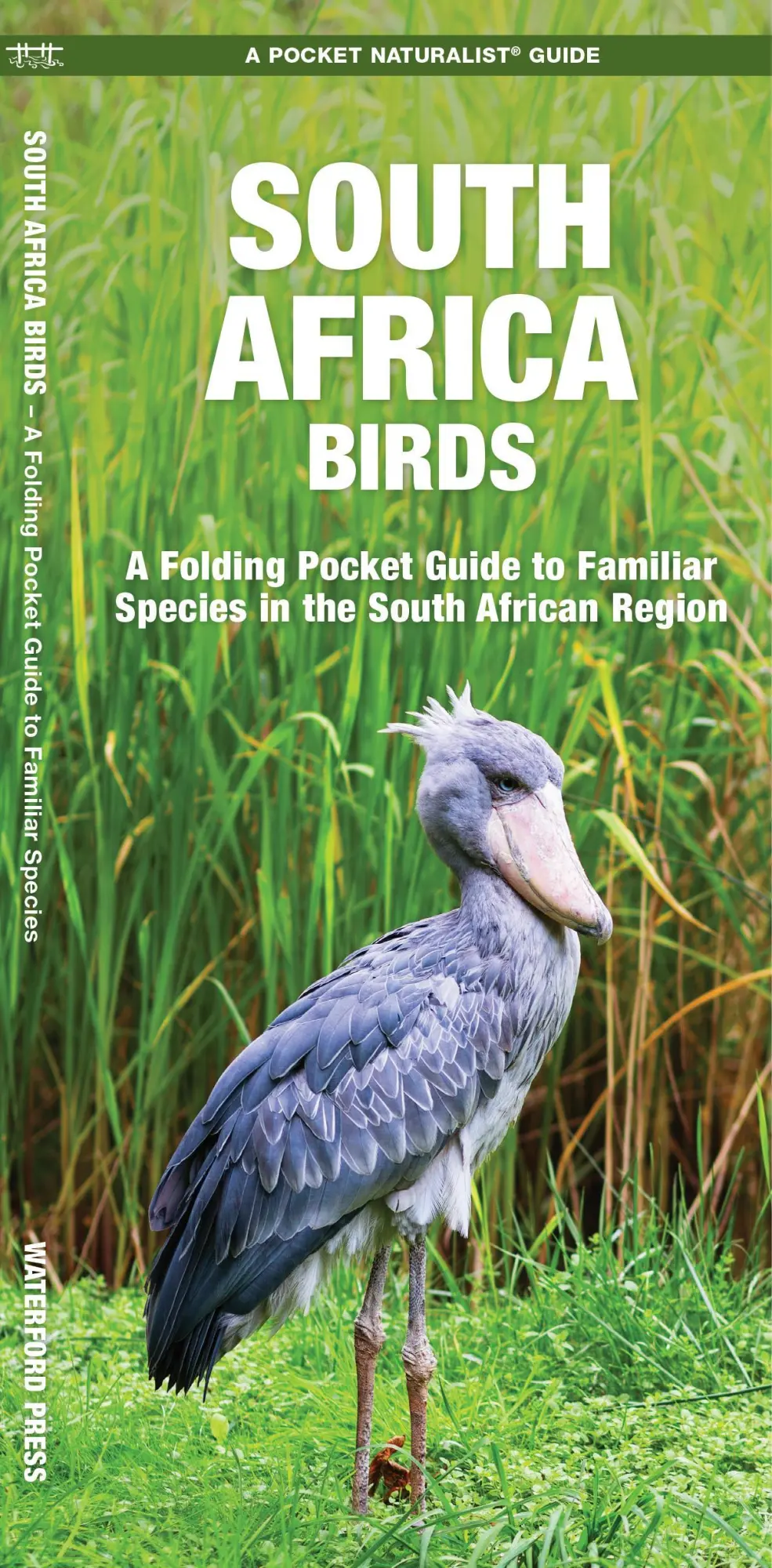 Cover: 9781583559864 | South Africa Birds: A Folding Pocket Guide to Familiar Species in...