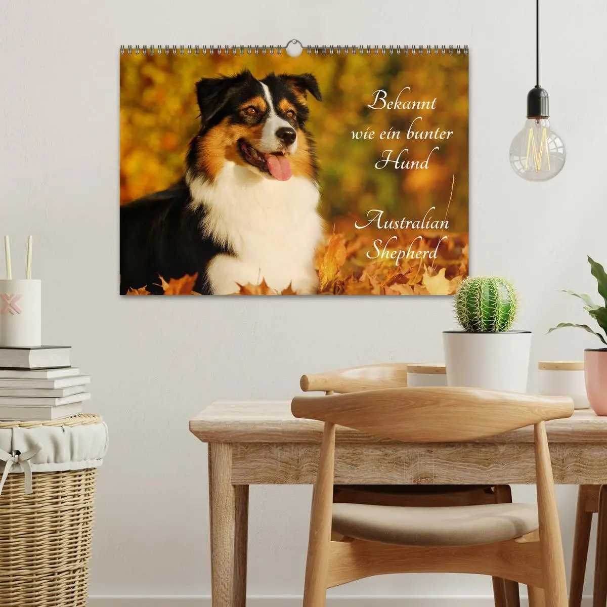 Bild: 9783516029864 | Bekannt wie ein bunter Hund. Australian Shepherd (Wandkalender 2026...