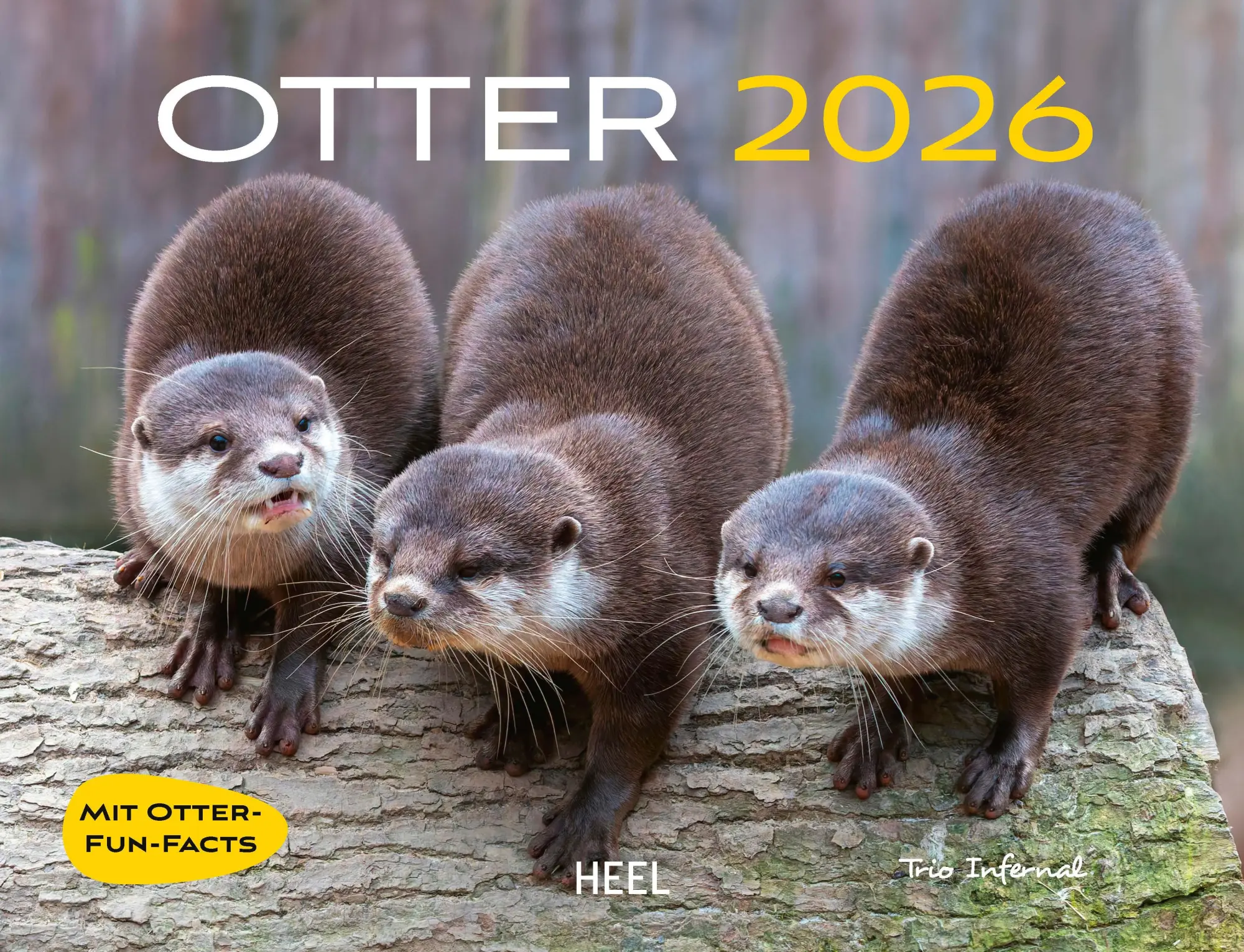 Cover: 9783966649964 | Otter Kalender 2026 Wandkalender Eintragkalender | Kalender | 14 S.