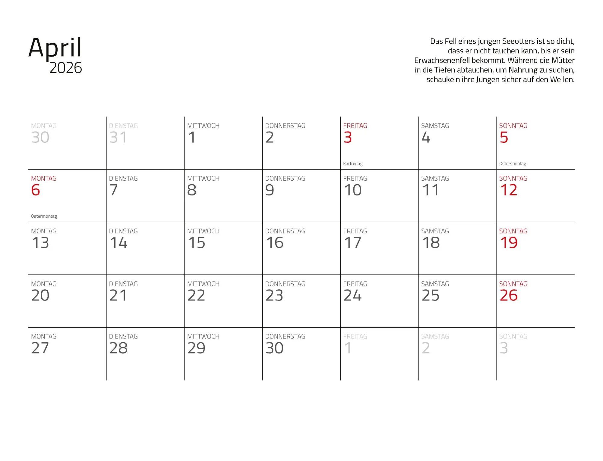 Bild: 9783966649964 | Otter Kalender 2026 Wandkalender Eintragkalender | Kalender | 14 S. Bild: 9783966649964 | Otter Kalender 2026 Wandkalender Eintragkalender | Kalender | 14 S.