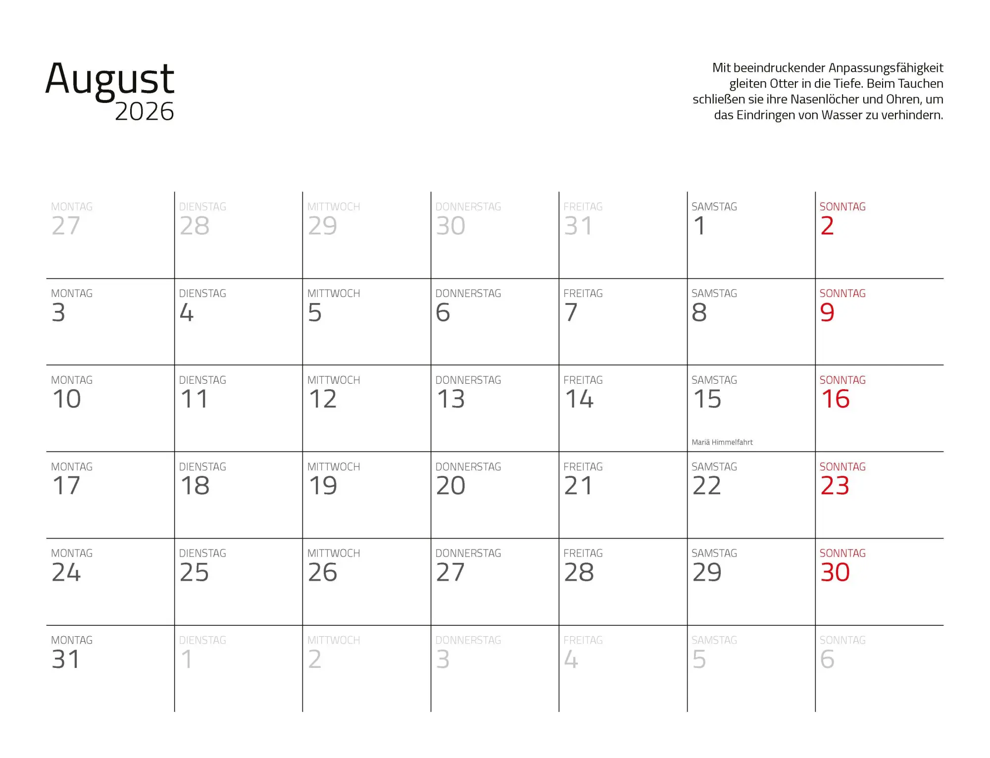 Bild: 9783966649964 | Otter Kalender 2026 Wandkalender Eintragkalender | Kalender | 14 S. Bild: 9783966649964 | Otter Kalender 2026 Wandkalender Eintragkalender | Kalender | 14 S.